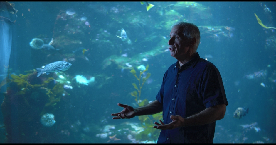 Interviewee in front of fish tank