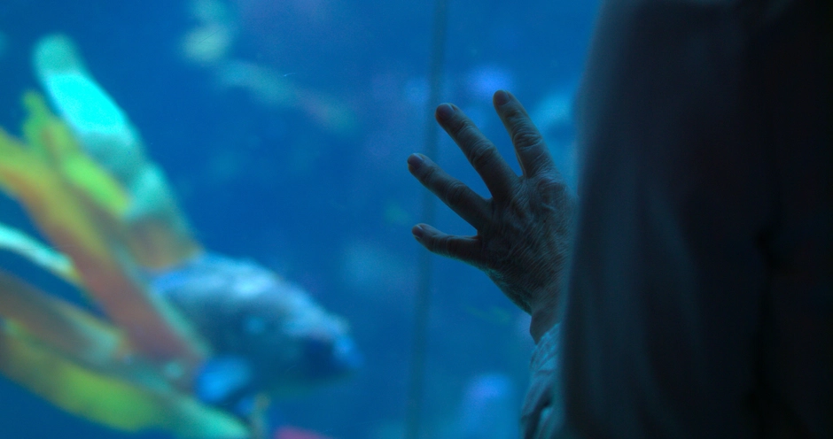 B Roll of interviewees hand on glass