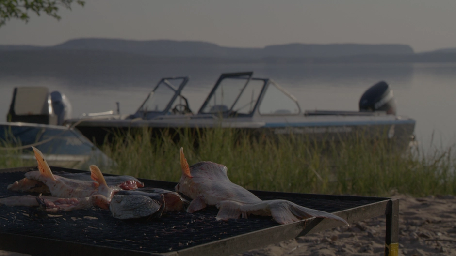 Fish being grilled with the lake behind